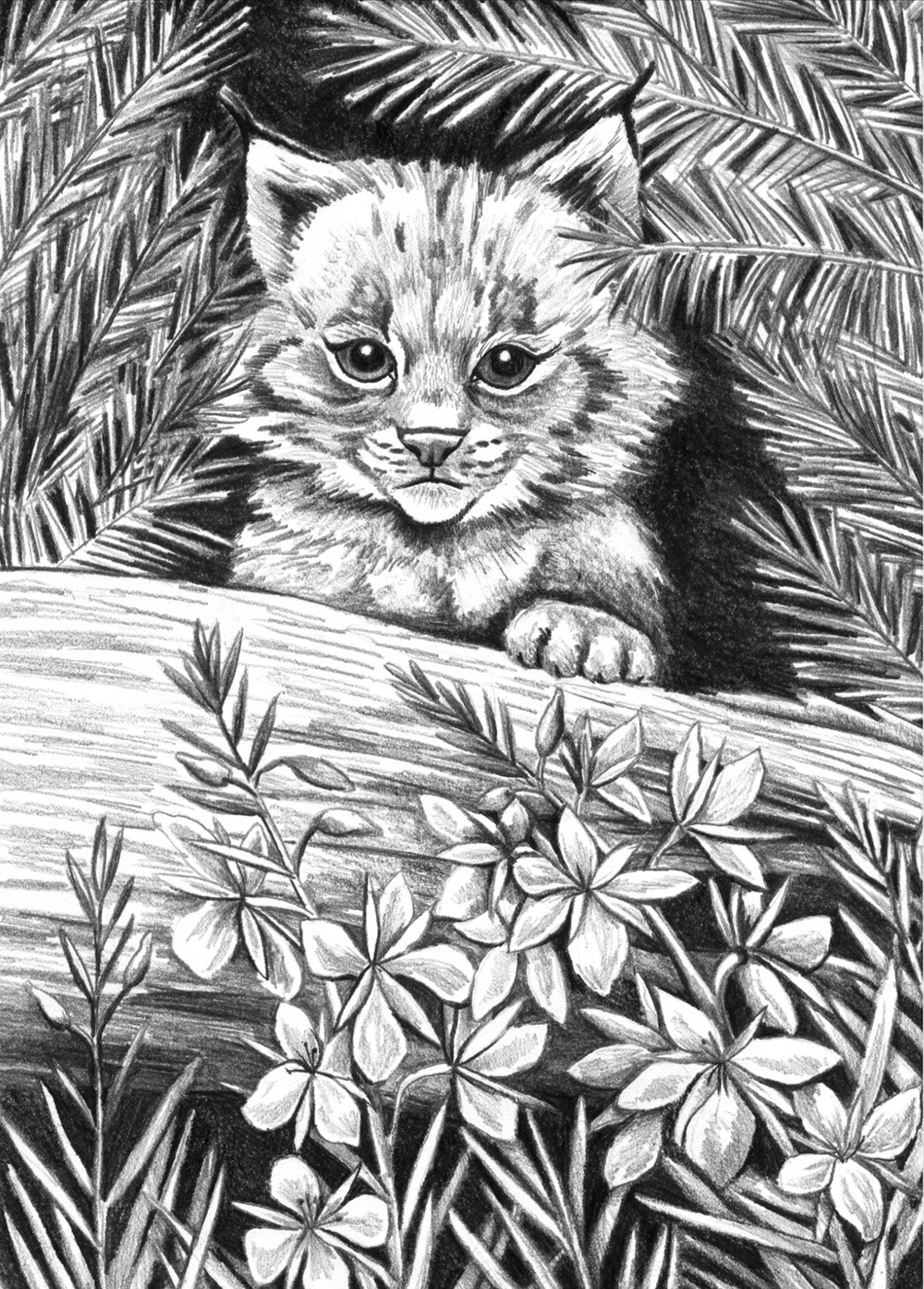 The Story Behind Canadian Recipes of the Great White North