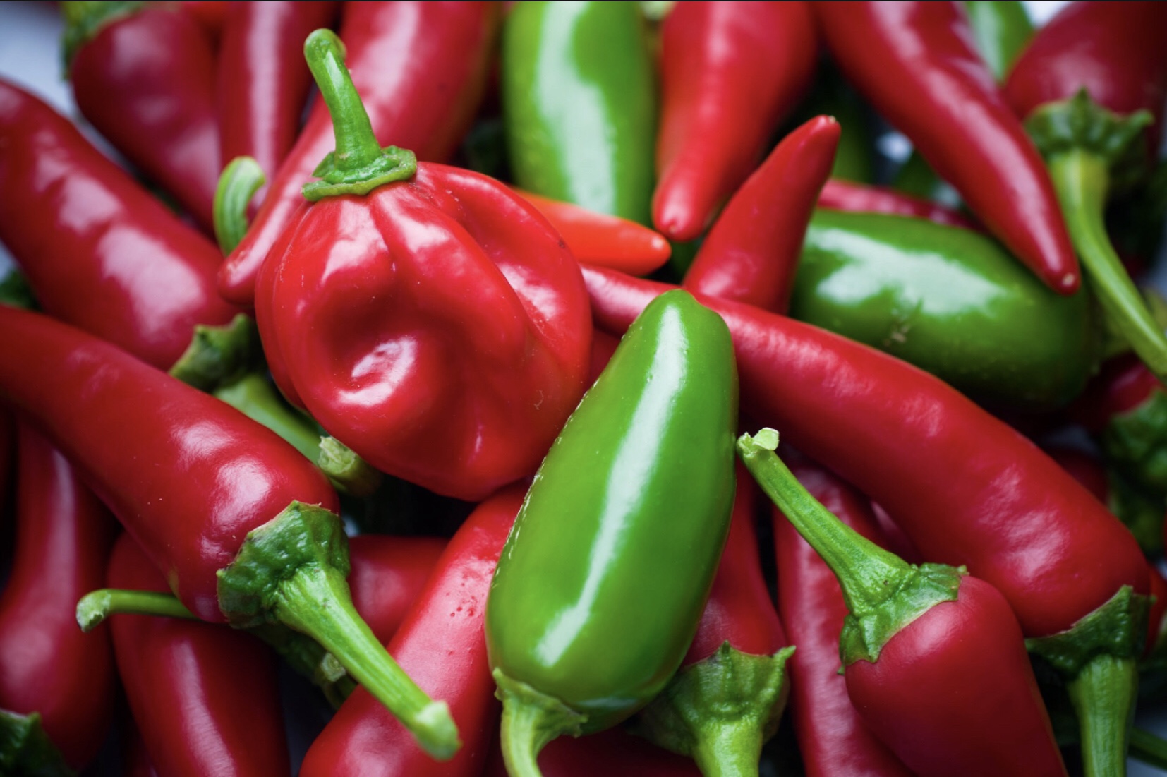 Pickling Jalapeños