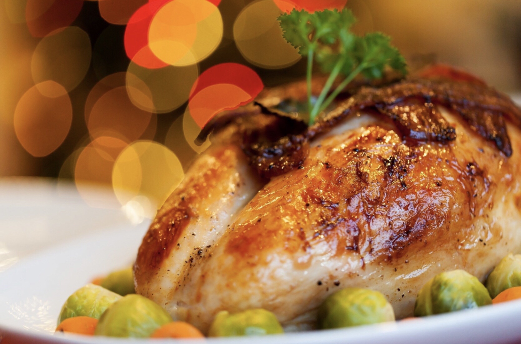 Cooking Turkey Breast for Smaller Family