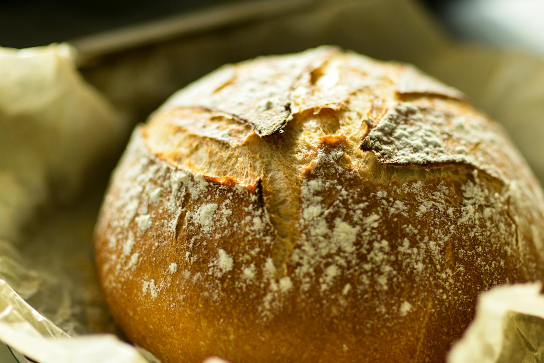 Fastest No-Knead Dutch Oven Bread